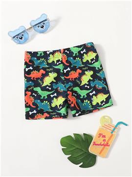 Baby Boy Cartoon Dinosaur Swim Trunks