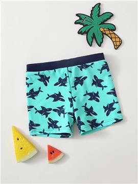 Baby Boy Shark Print Swim Shorts