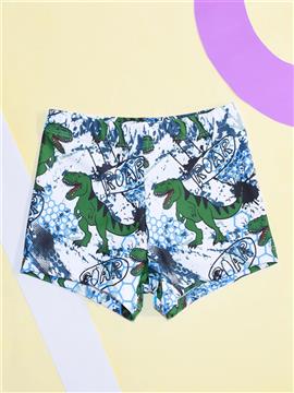 Toddler Boys Dinosaur Print Swim Shorts